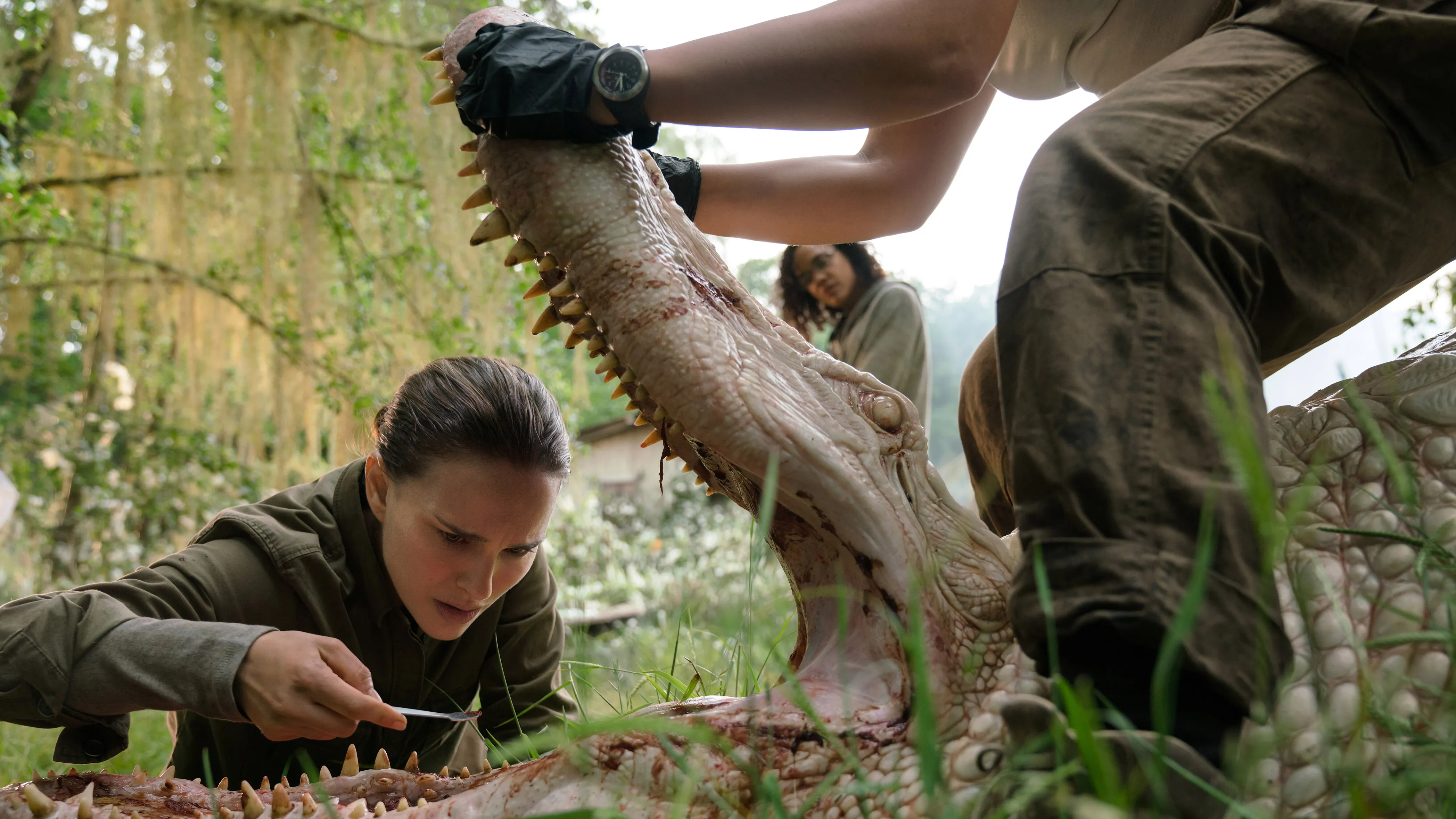 Annihilation Review – The Sci-Fi Horror Masterpiece That Gets More Disturbing the Longer You Think About It